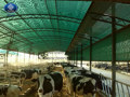 Shade net applications - Livestock Shade net applications - Livestock