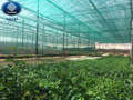 Shade net installation design Shade net installation design