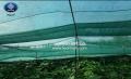 Shade net for plants and floriculture farm