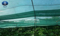 Shade net for plants and floriculture farm Shade net for plants and floriculture farm