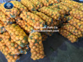 Raschel bag for packing citrus Raschel bag for packing citrus