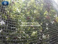 Anti bird net for protecting trees from birds damage Anti bird net for protecting trees from birds damage