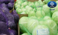 Cabbage packing and storage Cabbage packing and storage