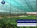 قیمت توری سایبان به چه عواملی بستگی دارد؟ قیمت توری سایبان به چه عواملی بستگی دارد؟