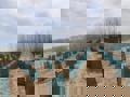 کاربرد توری سایبان برای درخت آووکادو محافظی مطمئن در پاییز و زمستان کاربرد توری سایبان برای درخت آووکادو محافظی مطمئن در پاییز و زمستان