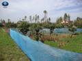 Fence net Fence net