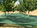 توری جمعآوری محصول توری جمعآوری محصول