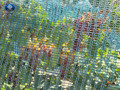 Anti bird net Anti bird net