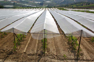 Изображение № 1 Изображение № 1