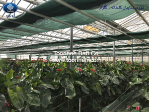 الصورة رقم 3 الصورة رقم 3