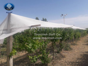 Изображение № 4 Изображение № 4