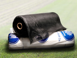 Изображение № 5 Изображение № 5