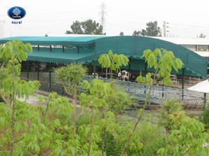 Picture No 1 Picture No 1