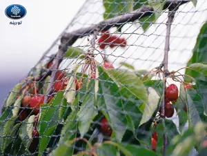 Изображение № 5 Изображение № 5