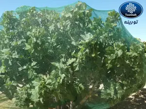 Изображение № 2 Изображение № 2