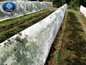 Изображение № 1 Изображение № 1