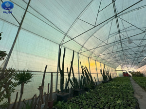 الصورة رقم 19 الصورة رقم 19