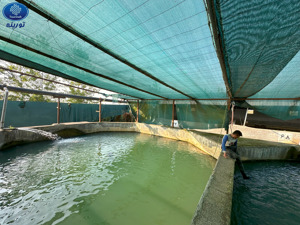 الصورة رقم 20 الصورة رقم 20