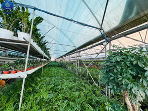 الصورة رقم 21 الصورة رقم 21