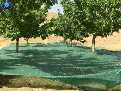 Harvest net