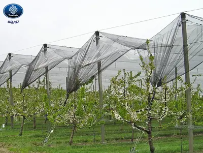Anti hail net