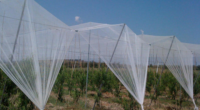 Advantages of employing Anti hail Nets