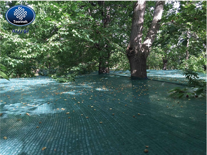 Harvest net: An efficient choice for collecting fruits and crops