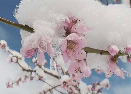 سرمازدگی - قسمت دوم