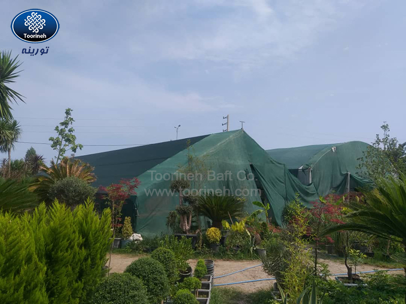 تاثیر توری سایبان بر فتوسنتز گیاهان، میزان رشد، تعداد میوهها و شکوفهها