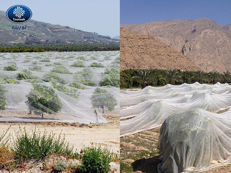 5 ключевых преимуществ затеняющая сетка для растений и деревьев зимой и осенью