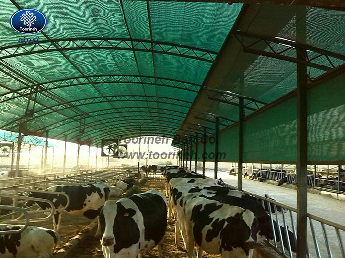 How does installing livestock shade net increase livestock productivity