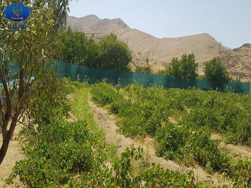 Ограждающая сетка Torineh Baft и её применение в сельском хозяйстве и строительстве