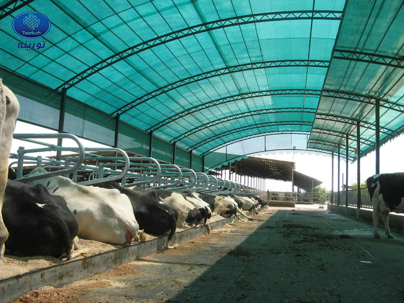 Применение затеняющей сетки в животноводческих хозяйствах в осенне-зимний период