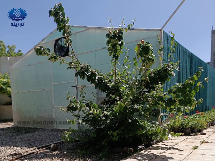 چرا استفاده از توری شید بهعنوان بادشکن در پاییز و زمستان ضروری است؟