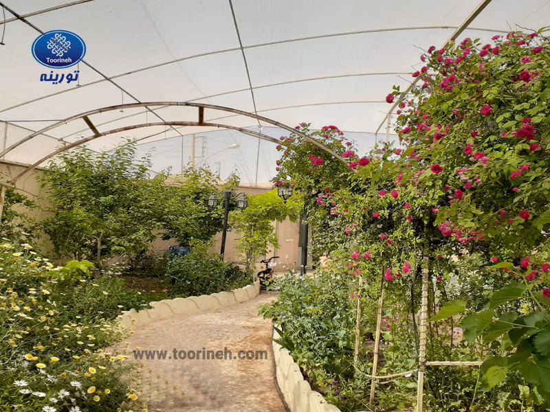 How Shade Net Helps Protect Home Greenhouses and Terrace Gardens During the Autumn Season?