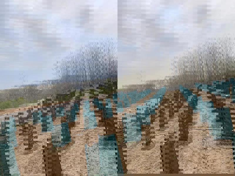 Применение затеняющей сетки для деревьев авокадо — надёжная защита осенью и зимой