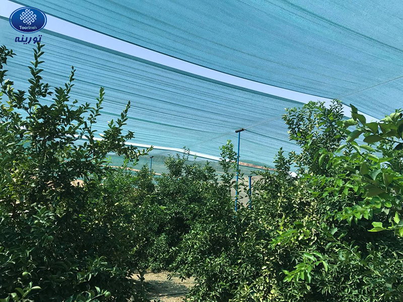 آمادهسازی فضاهای کشاورزی و روباز برای فصل بهار با استفاده از توری سایبان
