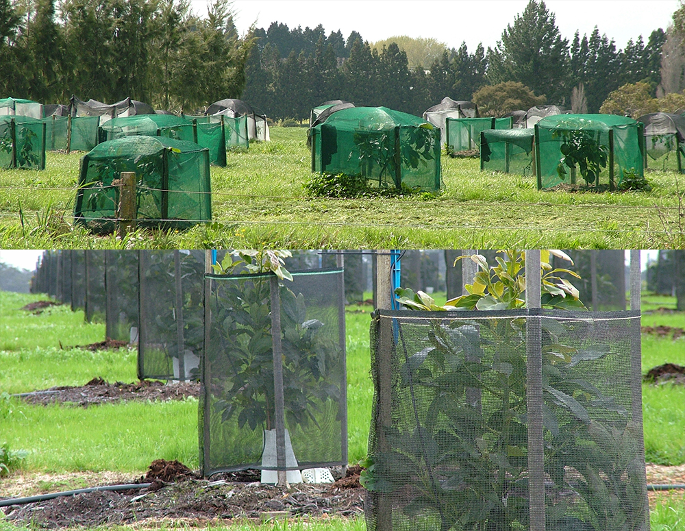 shade net windbreak