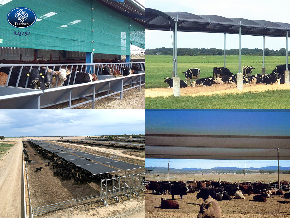 livestock shade net
