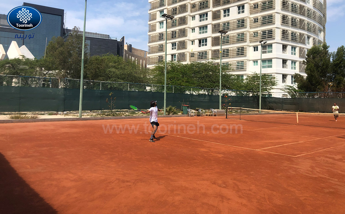 tennis windbreaking net