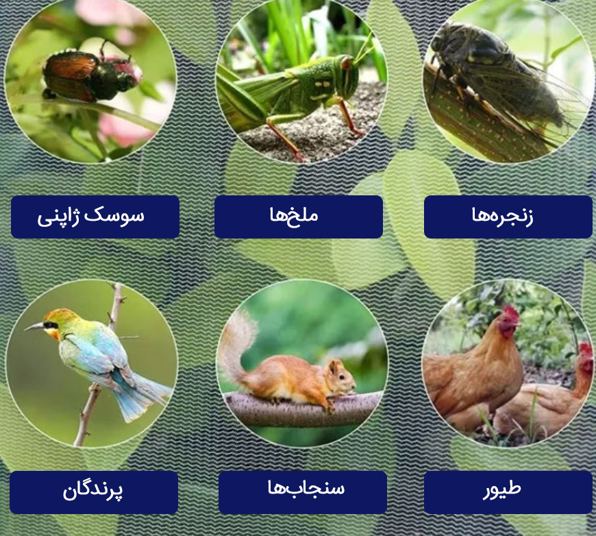 توری سایبان ضدآفات