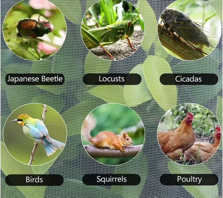 pest shade net
