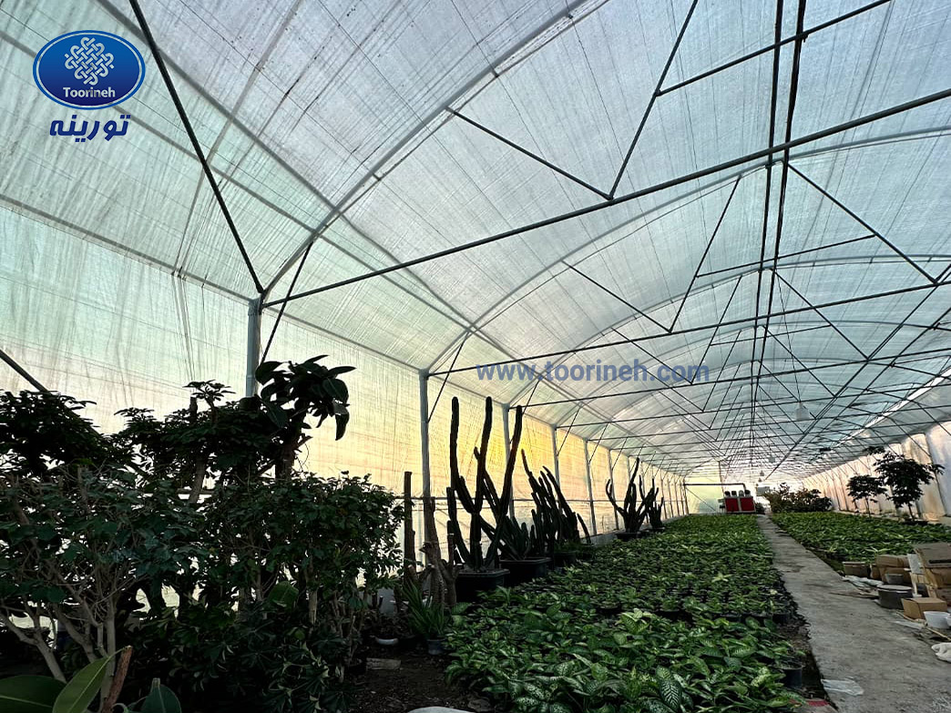 توری سایبان