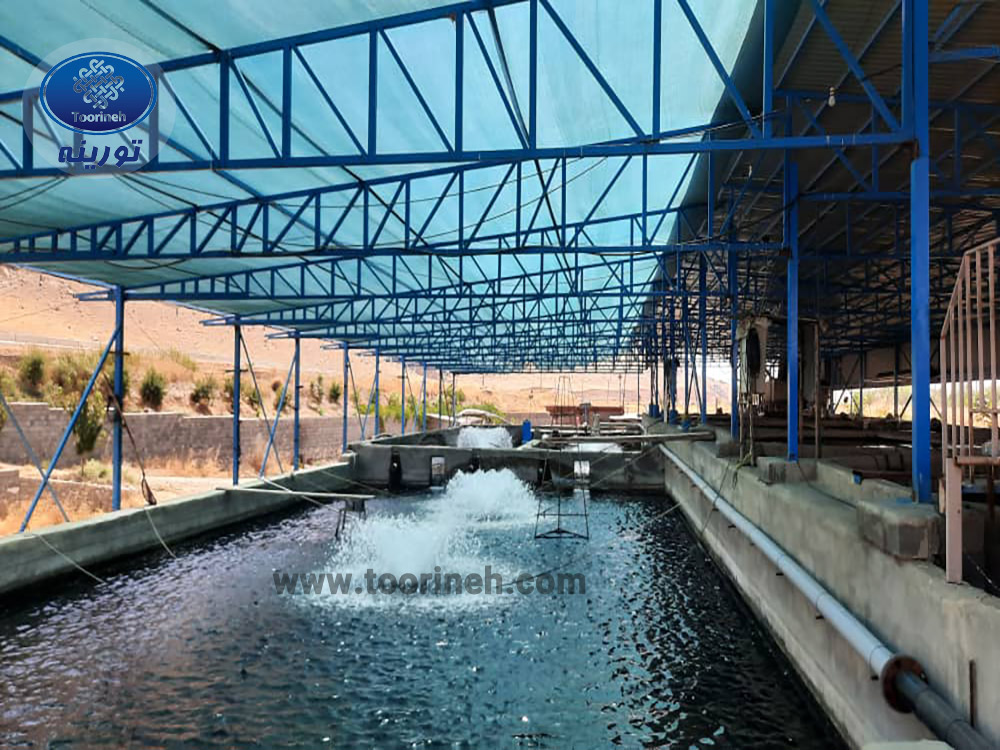 توری سایبان