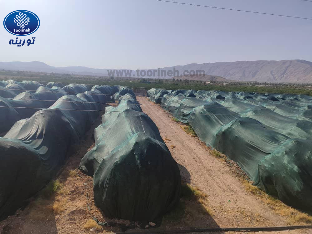 توری سایبان