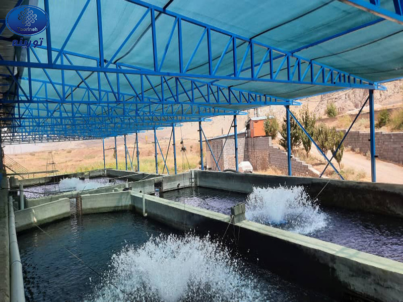 پوشش استخر پرورش ماهی با توری سایبان