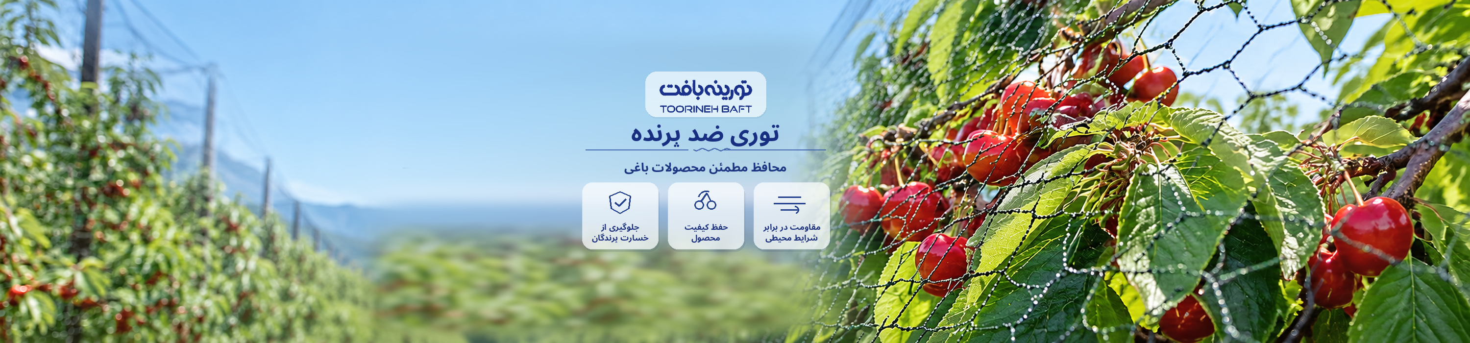 توری ضدپرنده